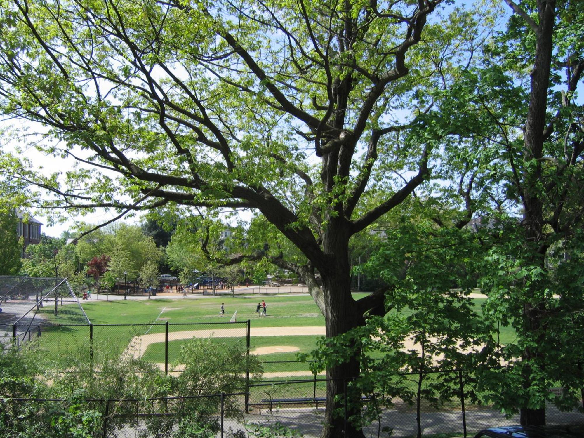 Longwood Inn Brookline Eksteriør bilde